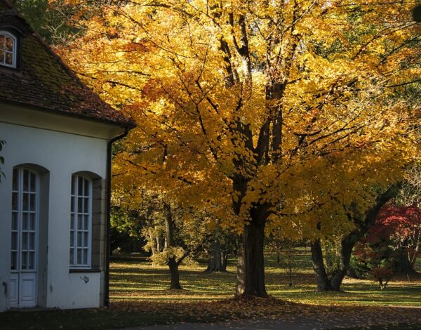 The Ultimate Fall Home Maintenance Checklist