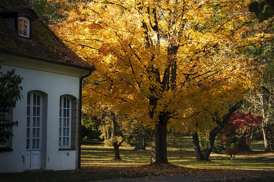 The Ultimate Fall Home Maintenance Checklist